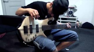 Korn feat. Skrillex - Chaos Lives In Everything Bass Cover!!