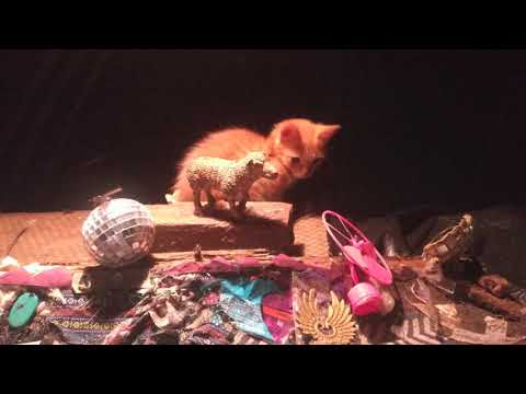 Breger @ Groove42 [Goa, India] Sep 2020