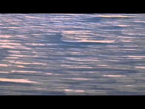 Video thumbnail for Longe de Você