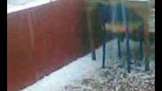 Consequences of the Weather Changes and Globlal Warming