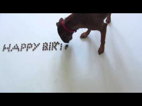 Happy Birthday Jamie!