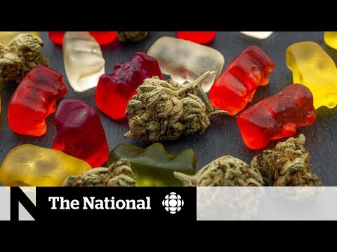 Miami Heat player’s edibles incident serves as a cautionary tale