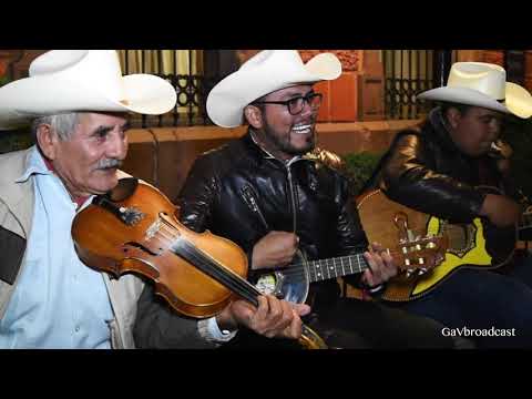 download lagu mp3 mp4 Versos De Huapangos Huastecos, download lagu Versos De Huapangos Huastecos gratis, unduh video klip Versos De Huapangos Huastecos