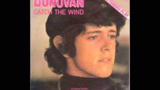Donovan- Catch The Wind (Awesome old vinyl version)