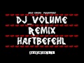Haftbefhl - Jeden Tag Wochenende Remix ...