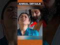 Did You Notice ️In Animal Movie Ranbir Kapoor Rashmika Mandanna Shorts Ytshorts Viralshorts
