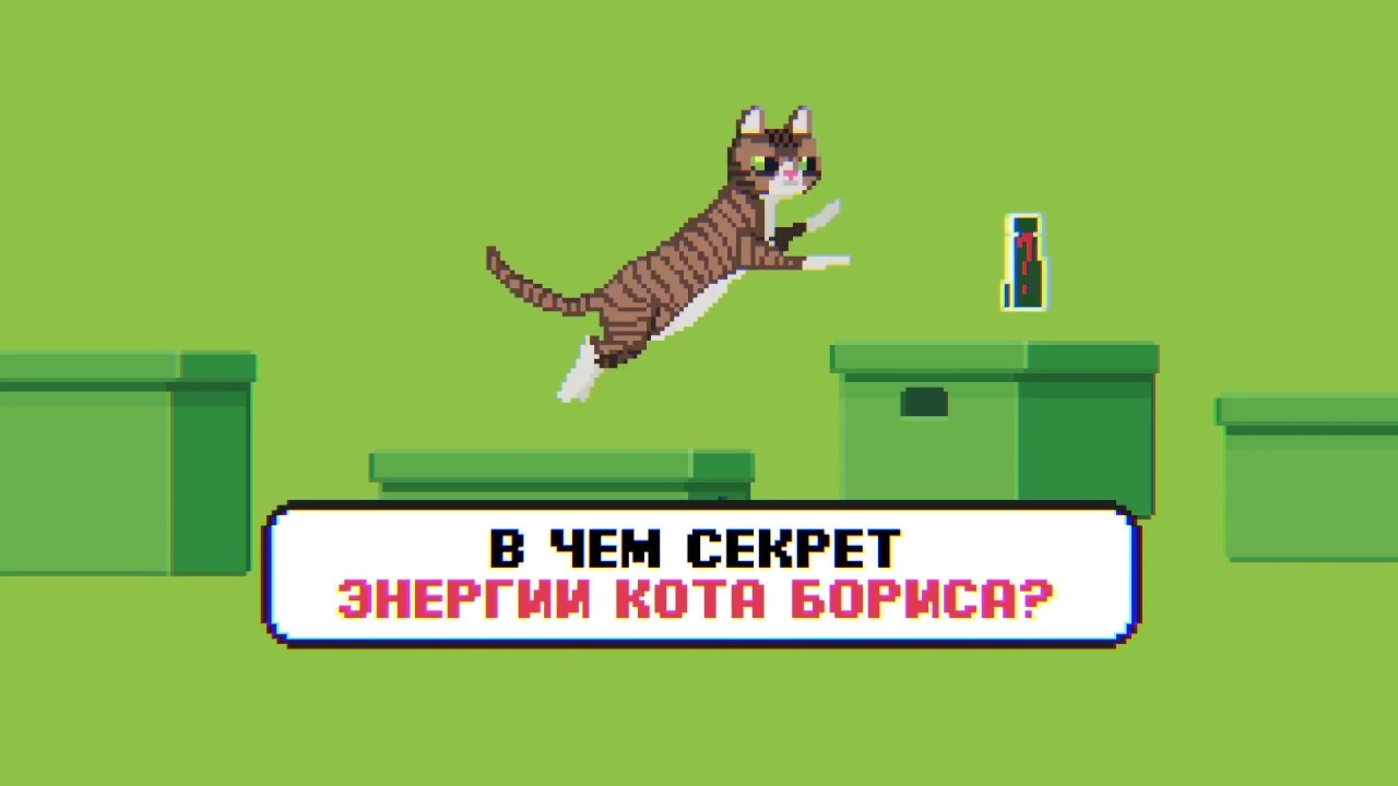 В чем секрет энергии кота Бориса?