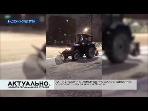Актуально Псков / 30.11.2021