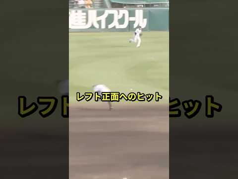 プロの域を超えた白熱した勝負 #プロ野球 #野球 #阪神タイガース #勝負 #short