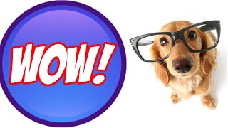 ᐅᐅ Craigslist+Inland+Empire+Pets | Craigslist Inland Empire Pets | #craigslistinlandempirepets