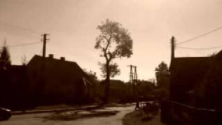 preview picture of video 'Wycinka Drzew Wielkie Leźno'