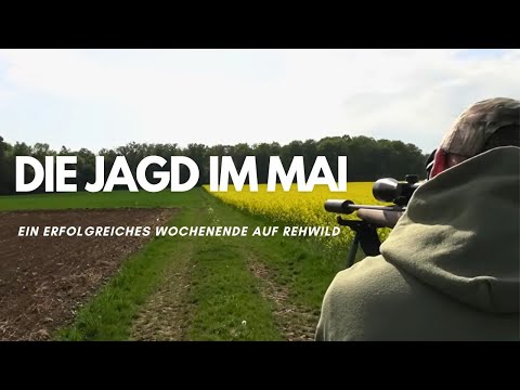 Buck Hunting | My May Hunting Experiences | chris_hunting