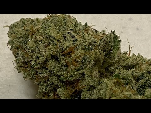 Bubba Whip Strain