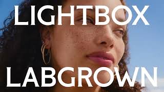 Lightbox Jewelry Find your light. Shop the new summer collections now.