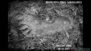 Bigfoot Prints Found in Round Rock Park TX