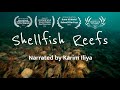 Shellfish Reefs Filters Of The Sea