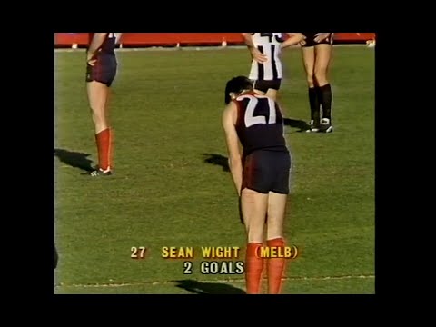 Sean Wight - Melbourne - 3 goals v Collingwood - 1987 Round 7 - MCG - VFL