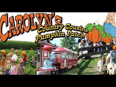 download lagu mp3 mp4 Carolyns Pumpkin Patch, download lagu Carolyns Pumpkin Patch gratis, unduh video klip Carolyns Pumpkin Patch