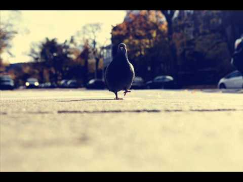 Daniel Mulhern - Grasshoppers 《Pigeon Coup》
