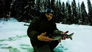 Рыбалка в васьково архангельской области
