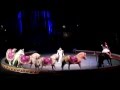 Ringling Brothers Barnum Bailey Circus Nashville Part 1 2014