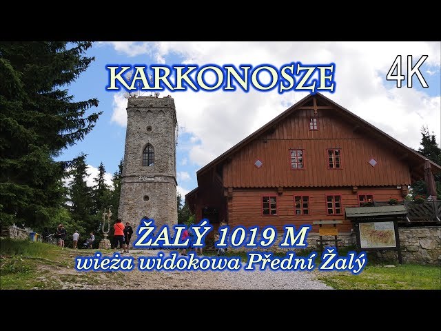 Wymowa wideo od widokowa na Polski