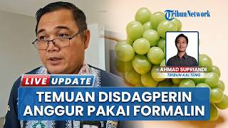 Disdagperin Kalteng Temukan Buah Anggur Dijual di Palangka Raya Terindikasi Formalin