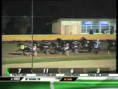 31/12/2012, Roma , Premio Esotico Prad C.naz.