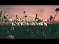 Mere Sapno Ki Galiyon Mein Slowed Reverb Ns Lyrics