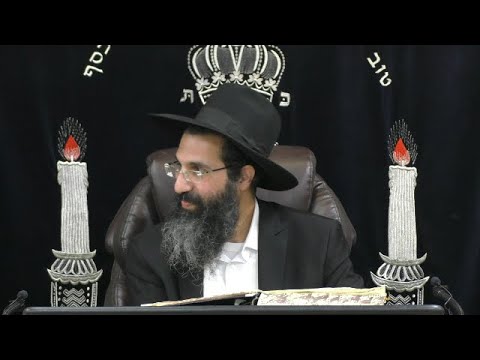 חייב אדם לישא אישה - ב' 🥂 אבן העזר - סימן א | חלק 2 | הרב שי עובד