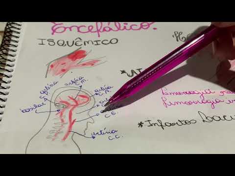 AVE - Acidente Vascular Encefálico: principais artérias e déficits neurológicos