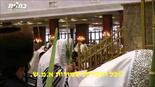 סוכות בחצר בעלזא ● האדמור מבעלזא ב'נענועים' בהלל