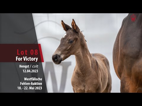 Online Auktion Lot 08 For Victory Hengst v. Feliciano - Kostolany/T.