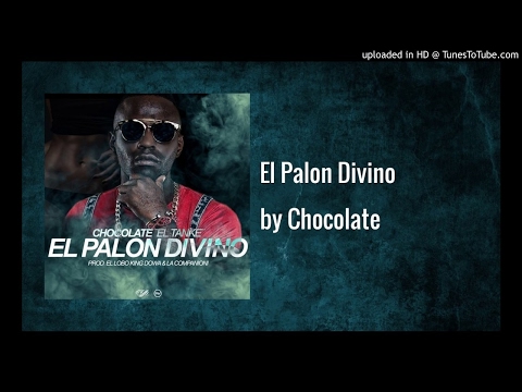PALON  DIVINO 2 - CHOCOLATE MC