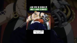 원피스) 퀸에게 정체를 들켜버린 해군스파이 드레이크의 최후
