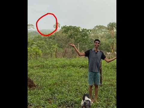 Ovni é capturado por câmera fotográfica, zona rural, Uruana/Goiás