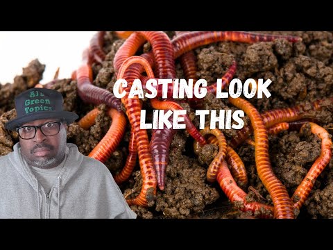 How To Know When YOUR Worm Castings Are READY To Harvest