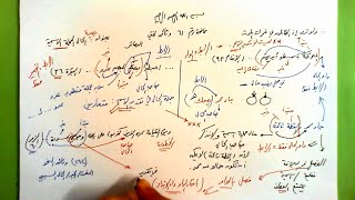 صورة 61 🔦 بصيرة الحال الجملة الاسمية