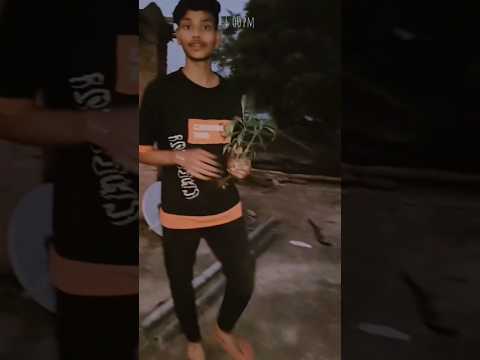 Mini Chandani Ki Cutting Kaise Lagaye 🌸🌷🪻#chandani #chandrababu #gardening #flowers