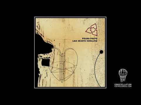 Polmo Polpo | "Farewell"