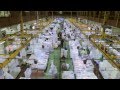 Billingsgate Fish Market