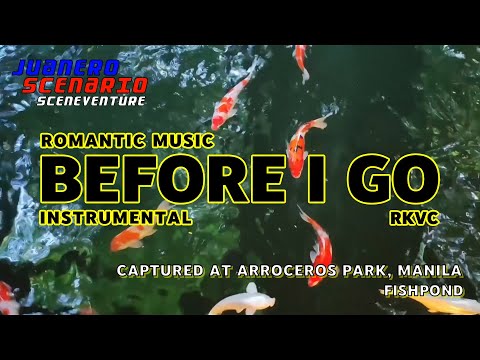 Before I Go | RKVC - Juanero Scenario (Sceneventure)