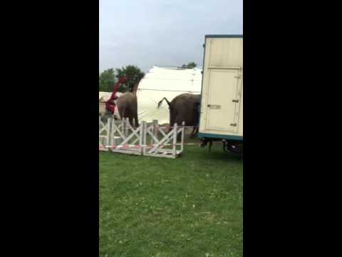 Die Martin Lacey Cam unterwegs