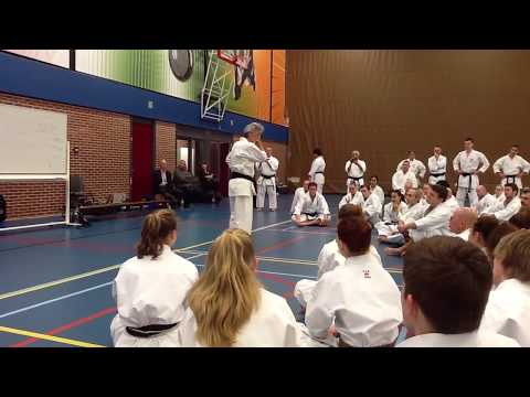 Kata Pinan Sandan from Soke Inoue