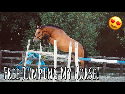 download lagu mp3 mp4 My Horse Free, download mp3 My Horse Free free download, download mp3 My Horse Free