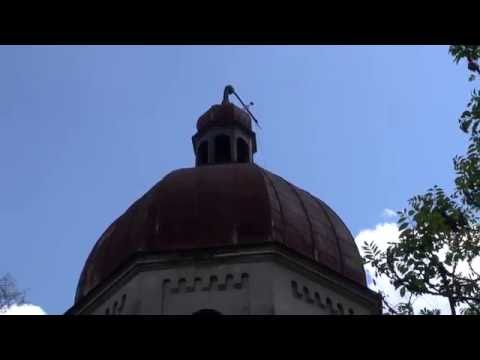 STARE OLESZYCE     maj 2016 roku