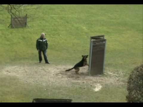 Kustmarkens Orion IPO III