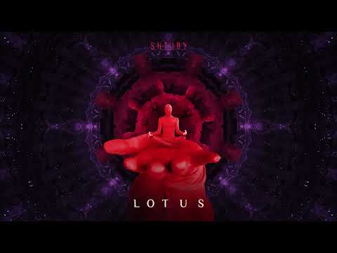 Shtuby — Lotus
