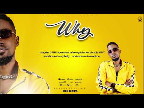 MB Data - Why [Official Music]