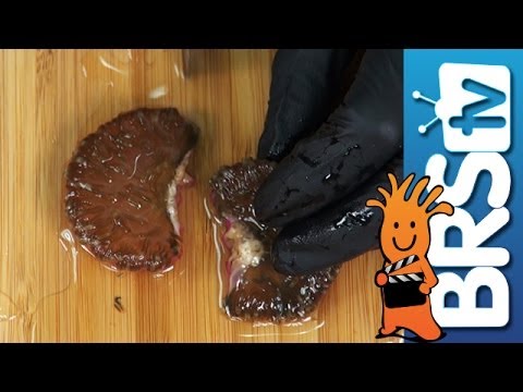 Anemone Fragging Time | How to Tuesday